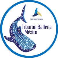 Conecciones TerraMar A.C.